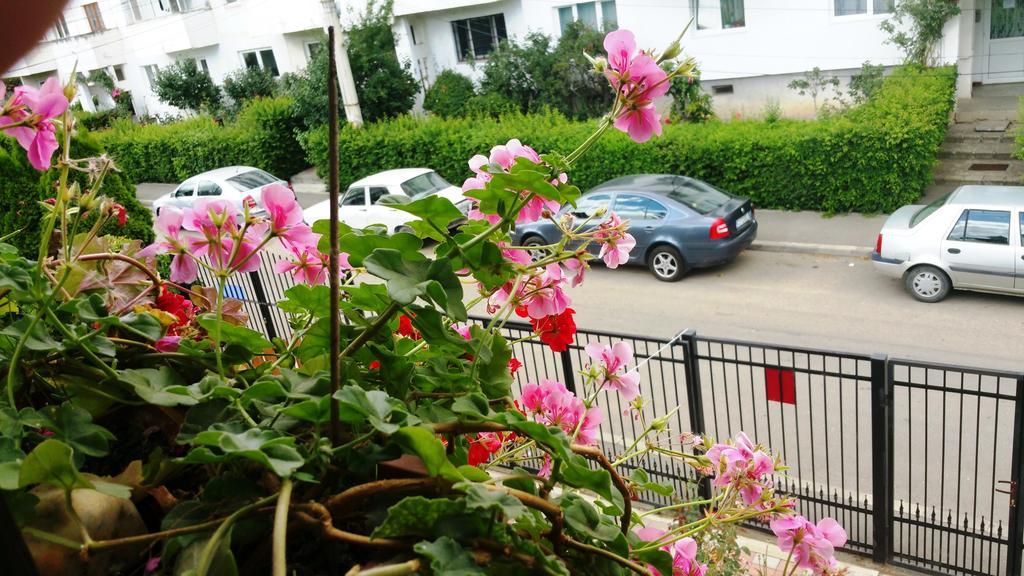 Lucas 38 Apartments Kaloşvar Dış mekan fotoğraf